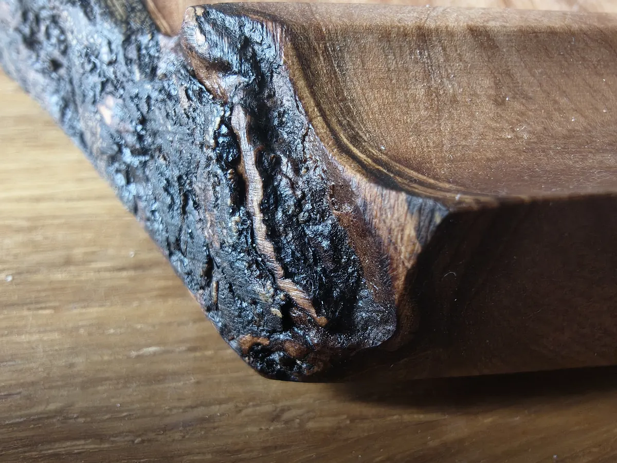 Skidbladnir — live edge, ash bark in macro